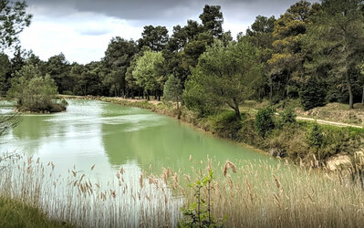 Lac de l'Alaric