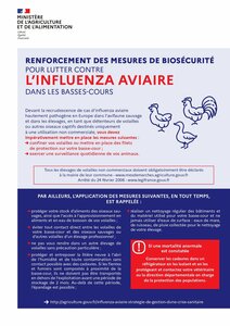 Les mesures de biosécurité à appliquer dans les basses-cours